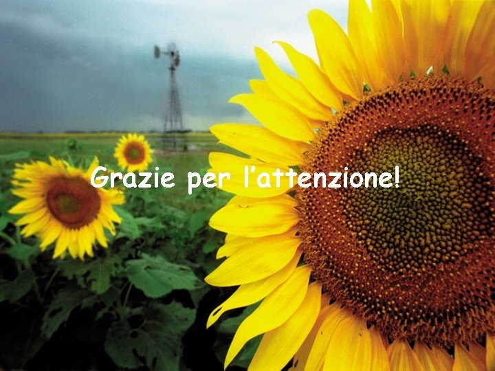 Grazie per l’attenzione! Grazie per l’attenzione!