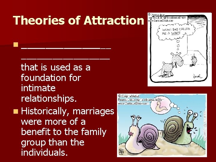 Theories of Attraction n _________________ that is used as a foundation for intimate relationships.