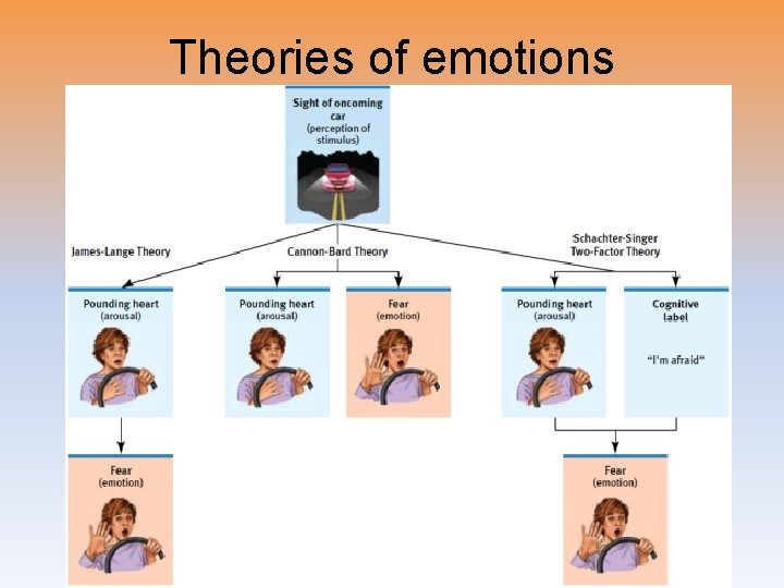 Theories of emotions 
