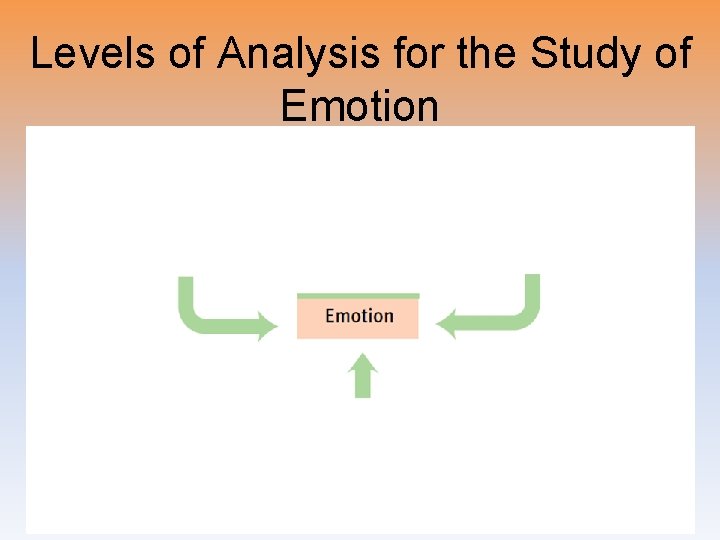 Levels of Analysis for the Study of Emotion 