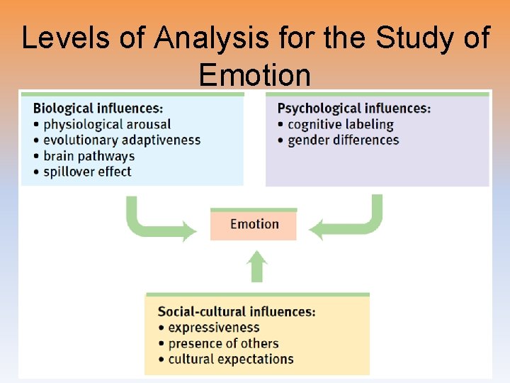 Levels of Analysis for the Study of Emotion 