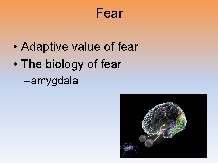 Fear • Adaptive value of fear • The biology of fear – amygdala 