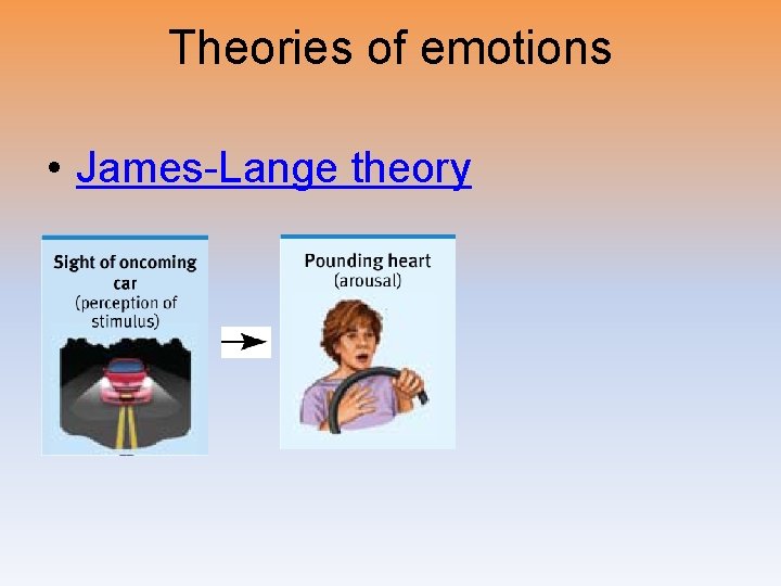 Theories of emotions • James-Lange theory 