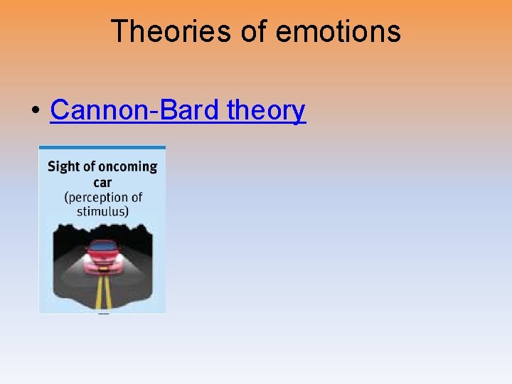 Theories of emotions • Cannon-Bard theory 