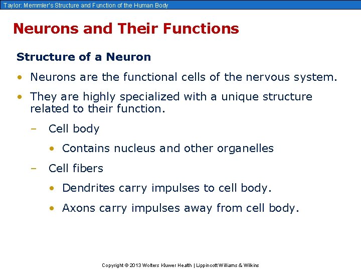 Taylor: Memmler’s Structure and Function of the Human Body Neurons and Their Functions Structure
