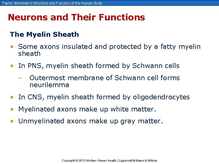 Taylor: Memmler’s Structure and Function of the Human Body Neurons and Their Functions The