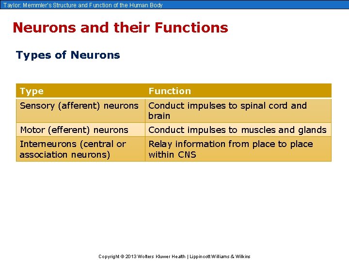 Taylor: Memmler’s Structure and Function of the Human Body Neurons and their Functions Types