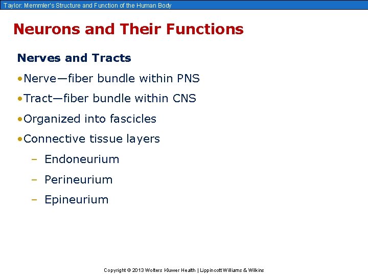 Taylor: Memmler’s Structure and Function of the Human Body Neurons and Their Functions Nerves