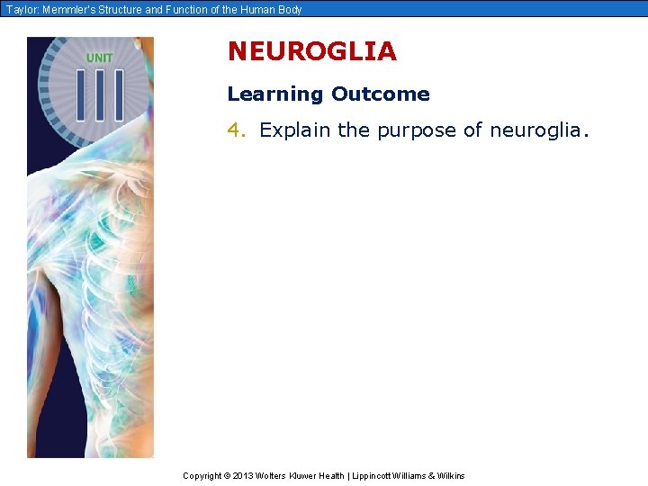 Taylor: Memmler’s Structure and Function of the Human Body NEUROGLIA Learning Outcome 4. Explain