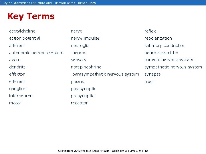 Taylor: Memmler’s Structure and Function of the Human Body Key Terms acetylcholine nerve reflex