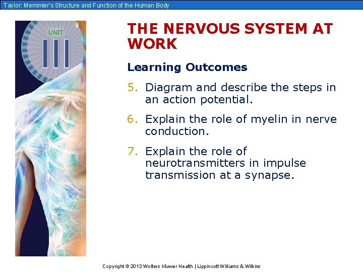 Taylor: Memmler’s Structure and Function of the Human Body THE NERVOUS SYSTEM AT WORK