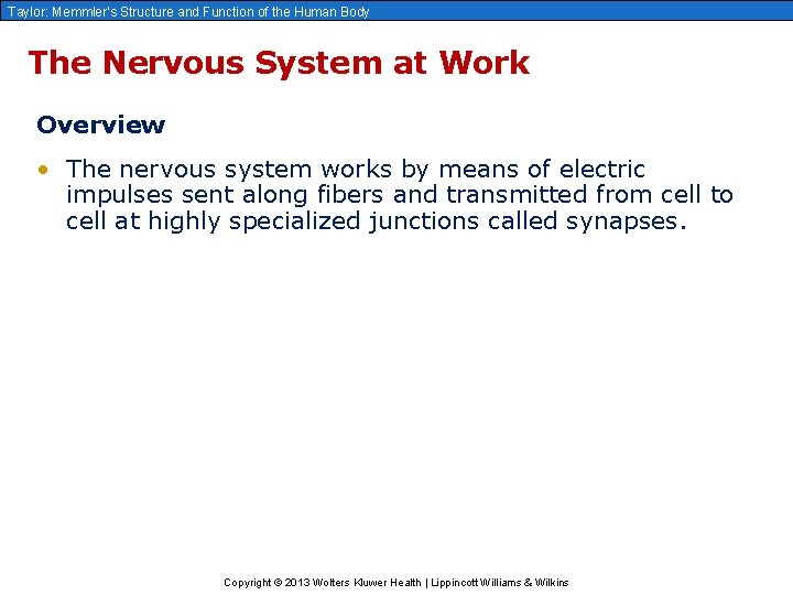 Taylor: Memmler’s Structure and Function of the Human Body The Nervous System at Work