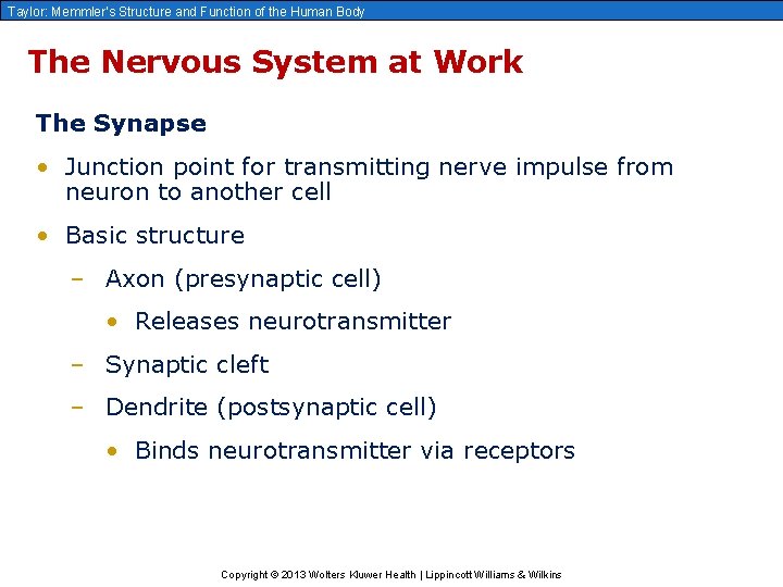 Taylor: Memmler’s Structure and Function of the Human Body The Nervous System at Work