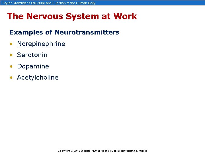 Taylor: Memmler’s Structure and Function of the Human Body The Nervous System at Work