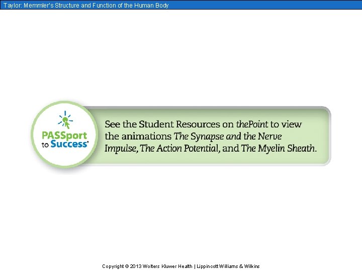 Taylor: Memmler’s Structure and Function of the Human Body Copyright © 2013 Wolters Kluwer