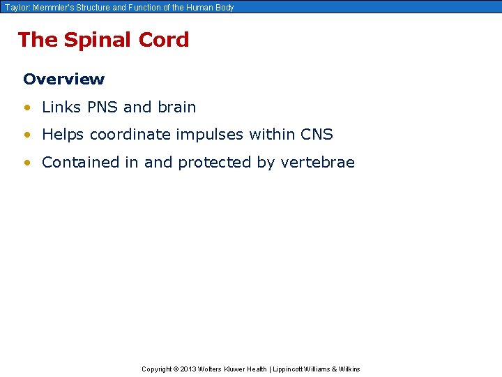 Taylor: Memmler’s Structure and Function of the Human Body The Spinal Cord Overview •