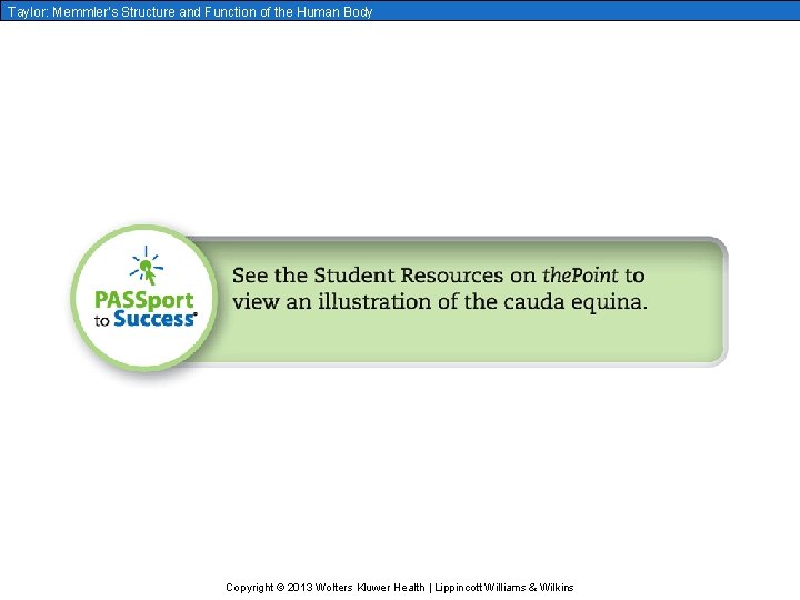 Taylor: Memmler’s Structure and Function of the Human Body Copyright © 2013 Wolters Kluwer