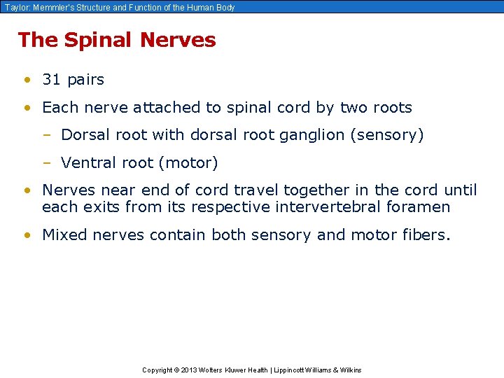 Taylor: Memmler’s Structure and Function of the Human Body The Spinal Nerves • 31