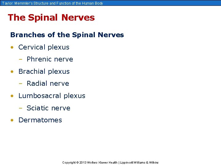 Taylor: Memmler’s Structure and Function of the Human Body The Spinal Nerves Branches of