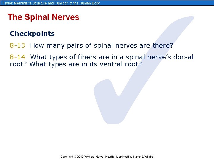 ✓ Taylor: Memmler’s Structure and Function of the Human Body The Spinal Nerves Checkpoints