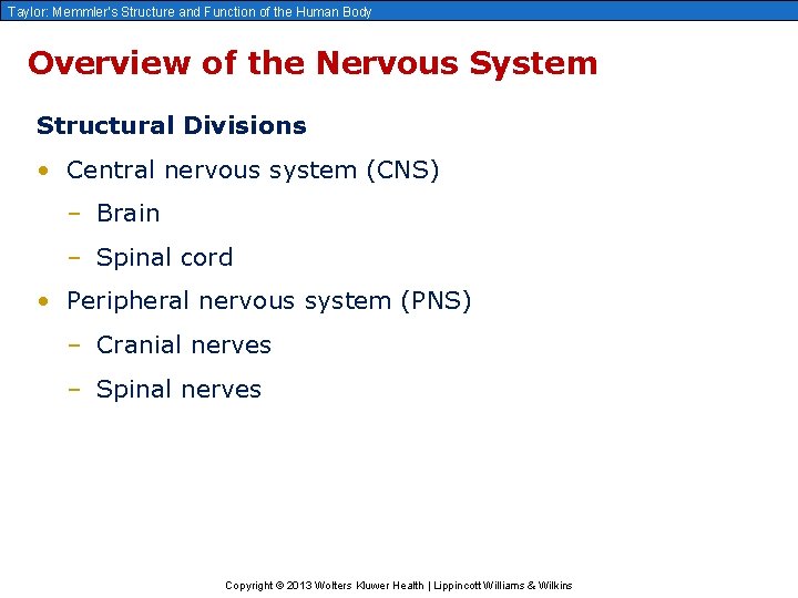 Taylor: Memmler’s Structure and Function of the Human Body Overview of the Nervous System