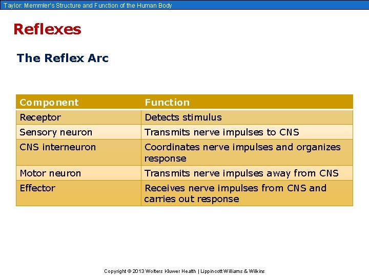 Taylor: Memmler’s Structure and Function of the Human Body Reflexes The Reflex Arc Component