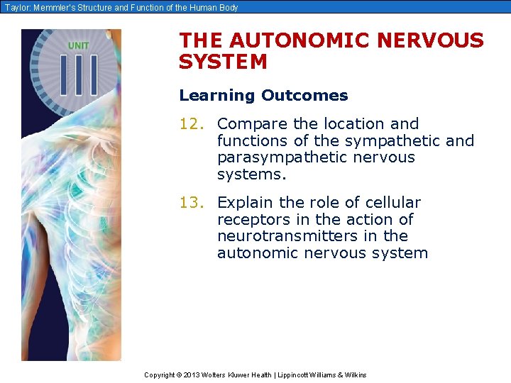 Taylor: Memmler’s Structure and Function of the Human Body THE AUTONOMIC NERVOUS SYSTEM Learning