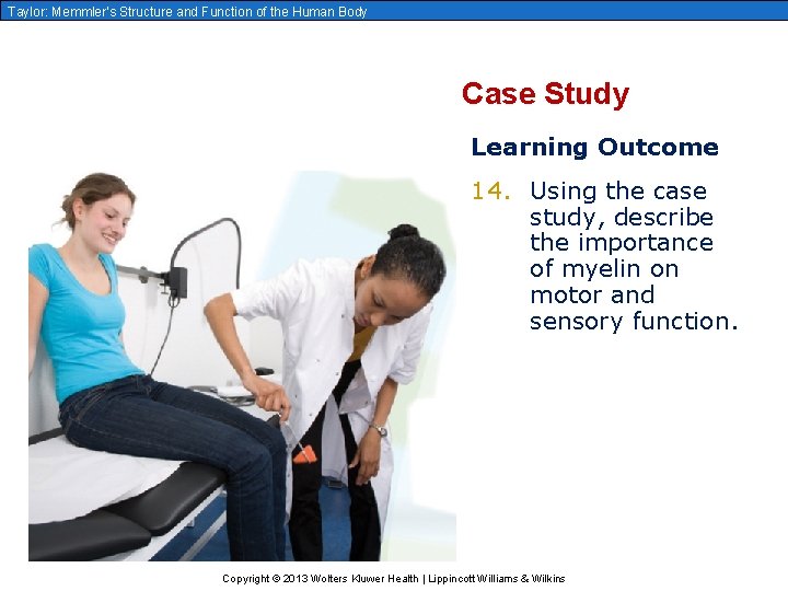 Taylor: Memmler’s Structure and Function of the Human Body Case Study Learning Outcome 14.