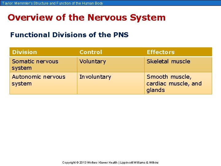 Taylor: Memmler’s Structure and Function of the Human Body Overview of the Nervous System