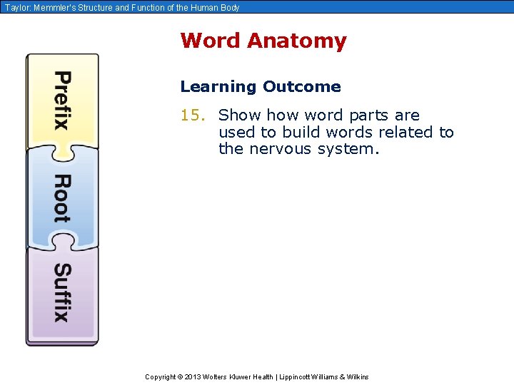 Taylor: Memmler’s Structure and Function of the Human Body Word Anatomy Learning Outcome 15.
