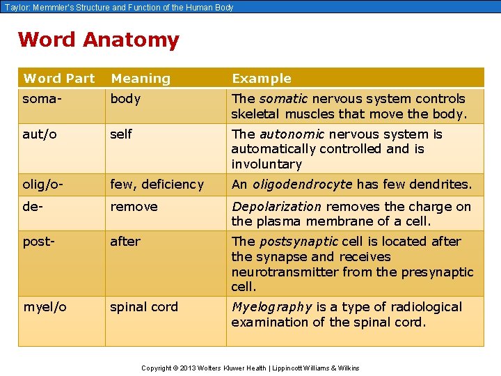 Taylor: Memmler’s Structure and Function of the Human Body Word Anatomy Word Part Meaning