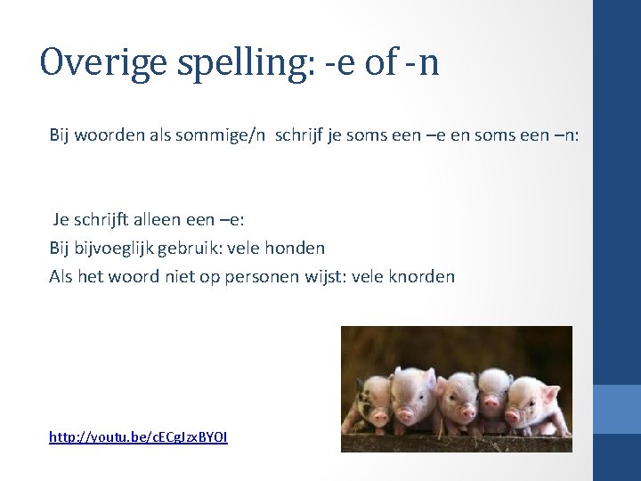 Overige spelling: -e of -n Bij woorden als sommige/n schrijf je soms een –e