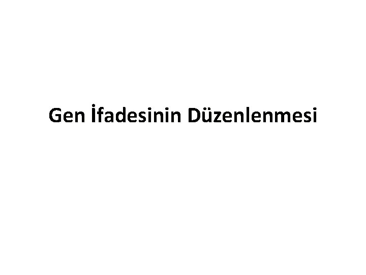 Gen İfadesinin Düzenlenmesi 