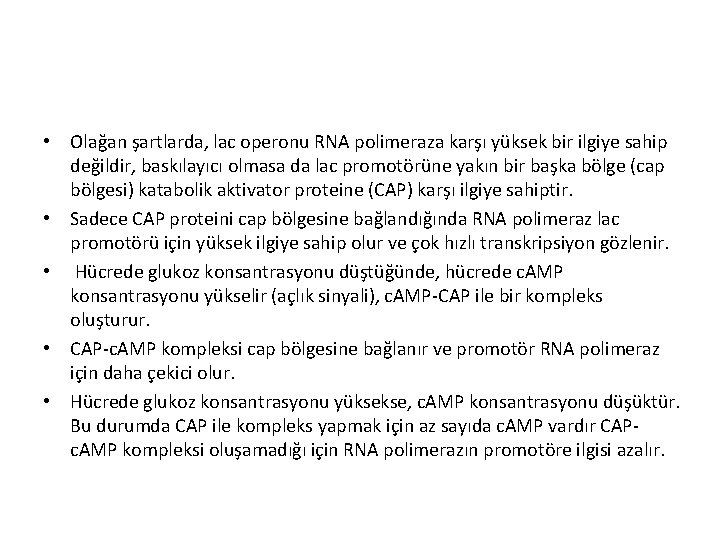  • Olağan şartlarda, lac operonu RNA polimeraza karşı yüksek bir ilgiye sahip değildir,