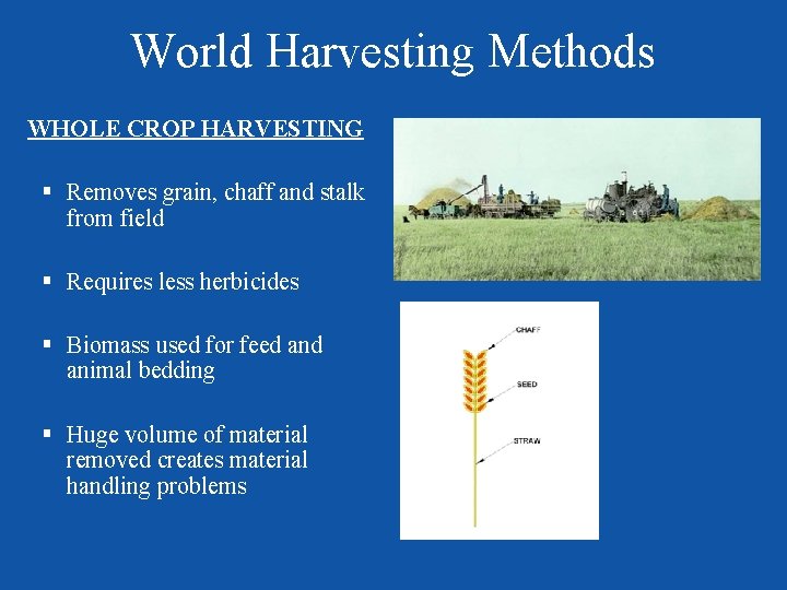 World Harvesting Methods WHOLE CROP HARVESTING § Removes grain, chaff and stalk from field