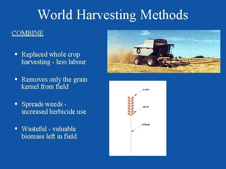 World Harvesting Methods COMBINE § Replaced whole crop harvesting - less labour § Removes