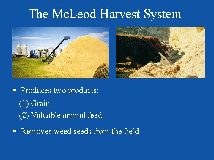 The Mc. Leod Harvest System § Produces two products: (1) Grain (2) Valuable animal