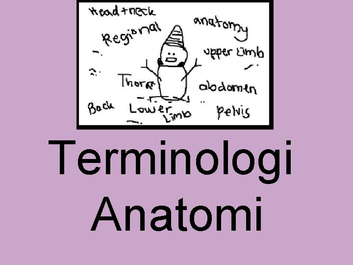 Terminologi Anatomi 