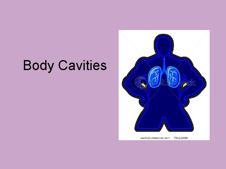 Body Cavities 