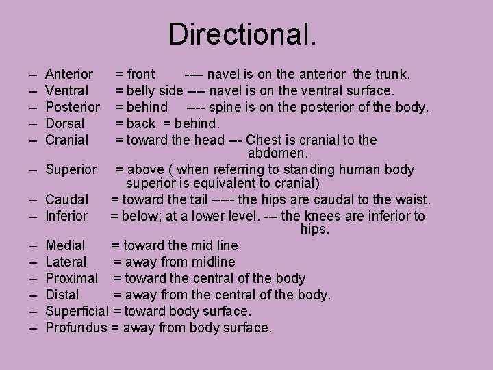 Directional. – – – – Anterior = front ---- navel is on the anterior