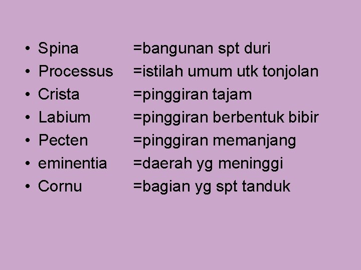  • • Spina Processus Crista Labium Pecten eminentia Cornu =bangunan spt duri =istilah