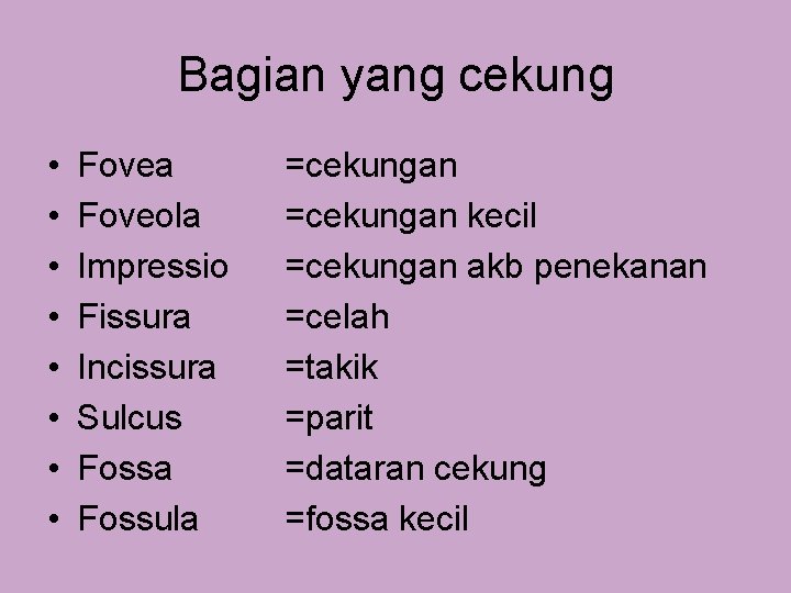 Bagian yang cekung • • Fovea Foveola Impressio Fissura Incissura Sulcus Fossa Fossula =cekungan