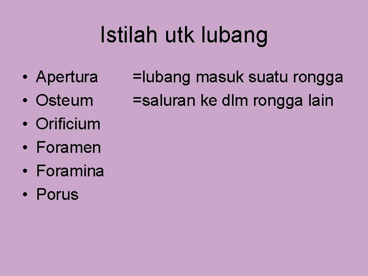 Istilah utk lubang • • • Apertura Osteum Orificium Foramen Foramina Porus =lubang masuk Istilah utk lubang • • • Apertura Osteum Orificium Foramen Foramina Porus =lubang masuk