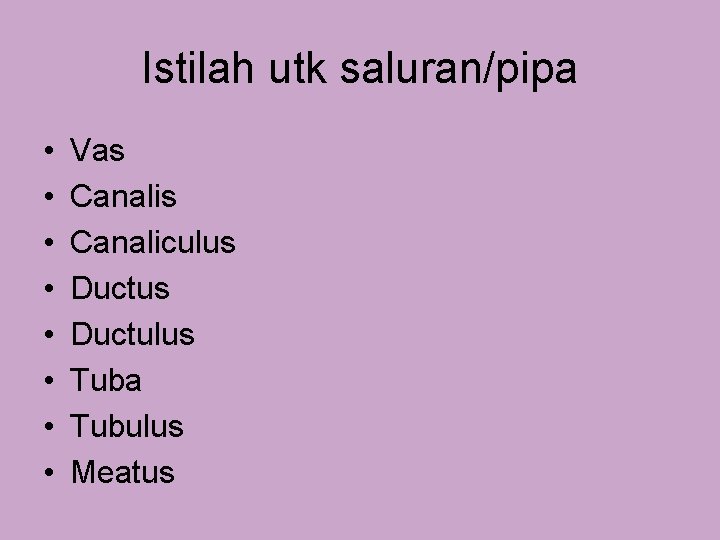 Istilah utk saluran/pipa • • Vas Canaliculus Ductulus Tuba Tubulus Meatus 