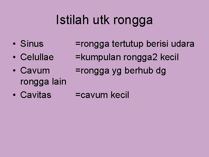 Istilah utk rongga • Sinus • Celullae • Cavum rongga lain • Cavitas =rongga Istilah utk rongga • Sinus • Celullae • Cavum rongga lain • Cavitas =rongga