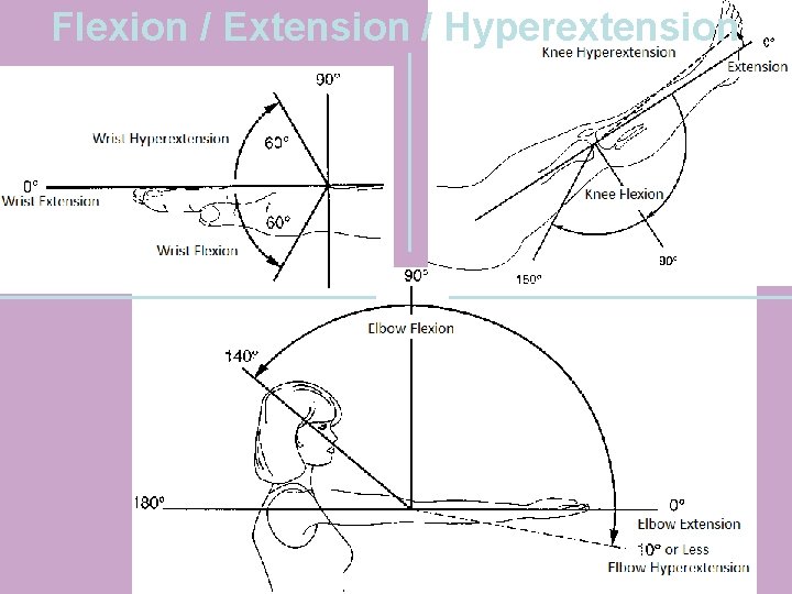 Flexion / Extension / Hyperextension 