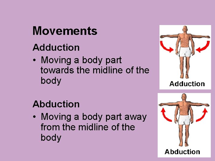 Movements Adduction • Moving a body part towards the midline of the body Abduction