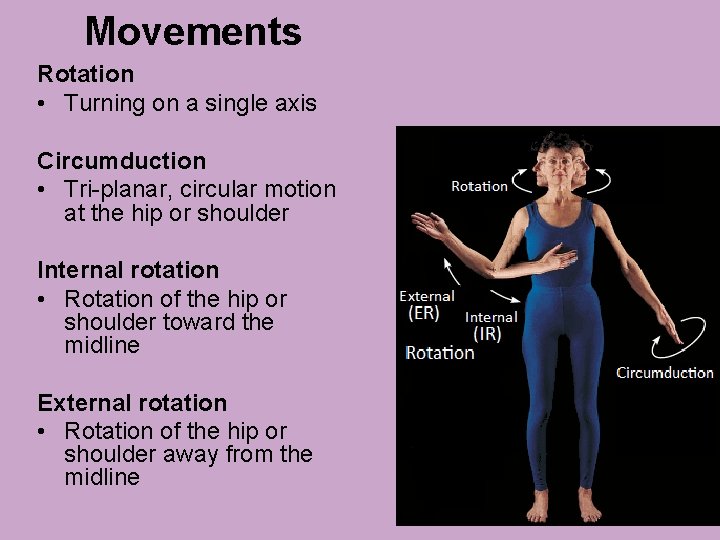 Movements Rotation • Turning on a single axis Circumduction • Tri-planar, circular motion at