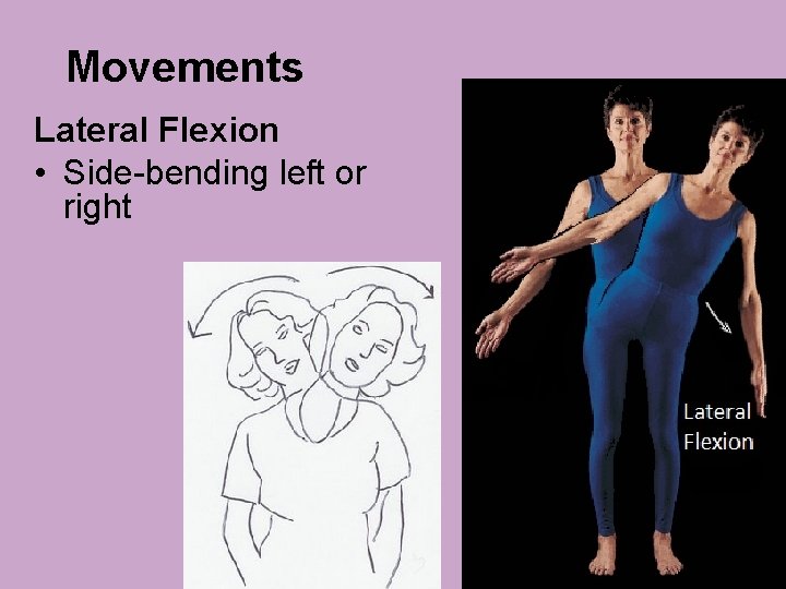 Movements Lateral Flexion • Side-bending left or right Movements Lateral Flexion • Side-bending left or right