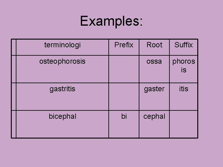 Examples: terminologi Root Suffix osteophorosis ossa phoros is gastritis gaster itis bicephal Prefix bi